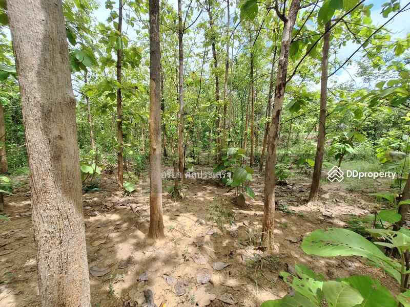 For Sale - Land Chom Thong Chiang Mai, Chiang Mai