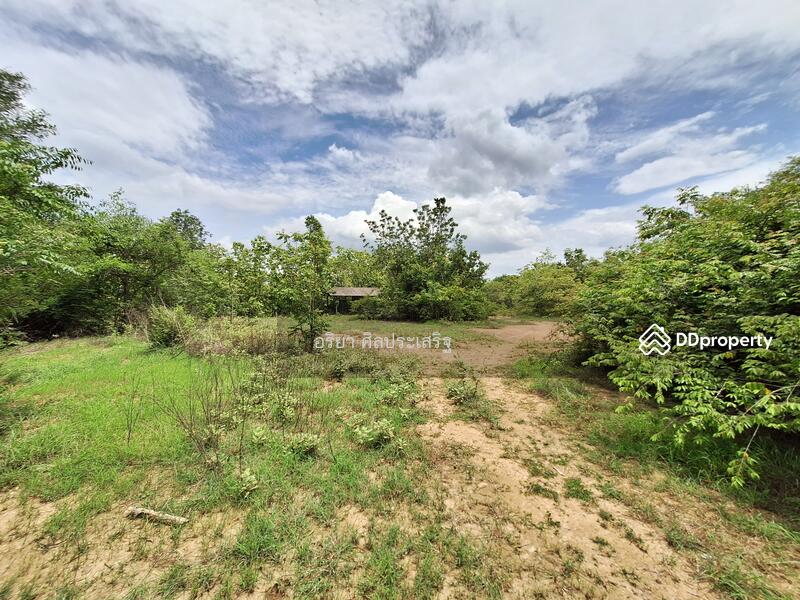 For Sale - Land Chom Thong Chiang Mai, Chiang Mai
