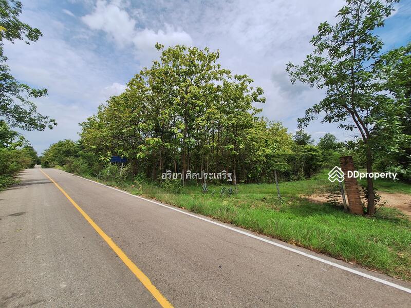 For Sale - Land Chom Thong Chiang Mai, Chiang Mai