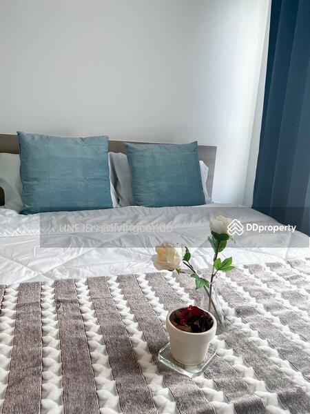 ให้เช่า - Elio Del Moss Phaholyothin 34 : เอลลิโอ เดล มอสส์ พหลโยธิน 34, กรุงเทพ