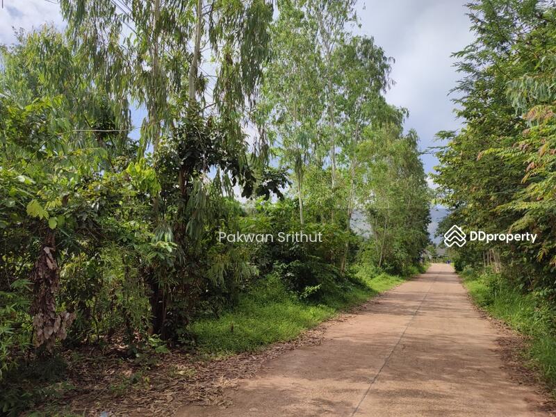 For Sale - Land with buildings at Si Songkhram District, Nakhon Phanom, Nakhon Phanom