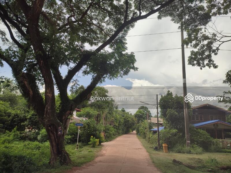 For Sale - Land with buildings at Si Songkhram District, Nakhon Phanom, Nakhon Phanom