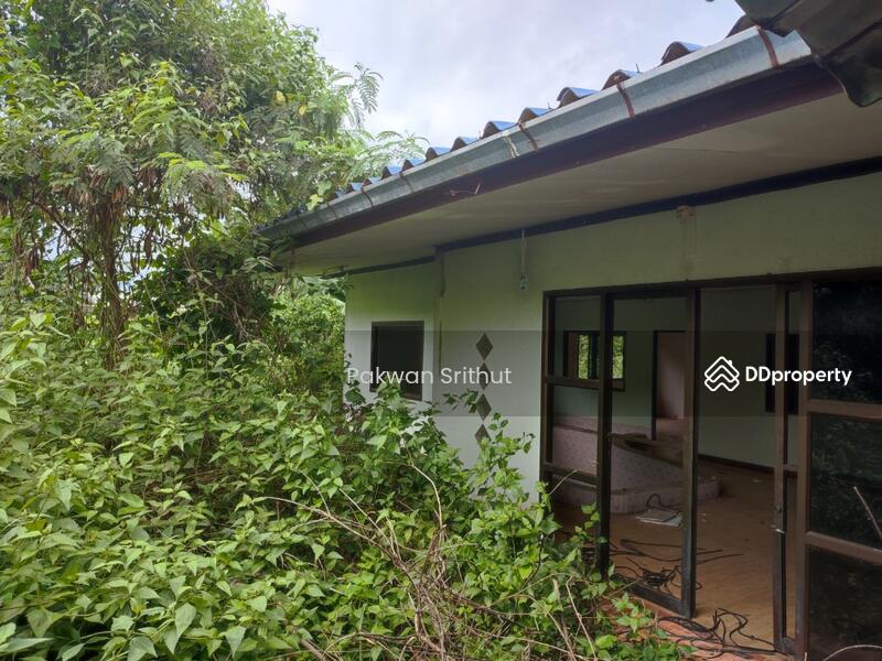 For Sale - Land with buildings at Si Songkhram District, Nakhon Phanom, Nakhon Phanom