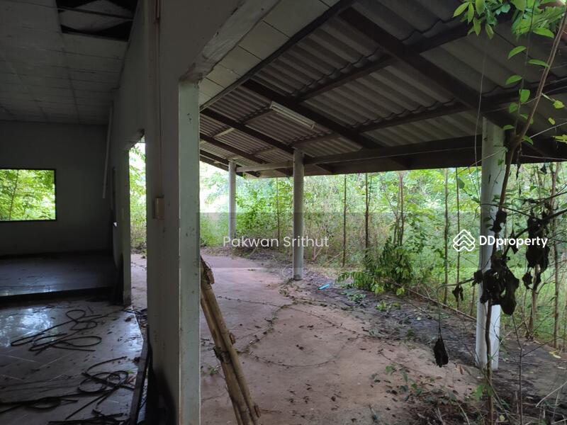 For Sale - Land with buildings at Si Songkhram District, Nakhon Phanom, Nakhon Phanom