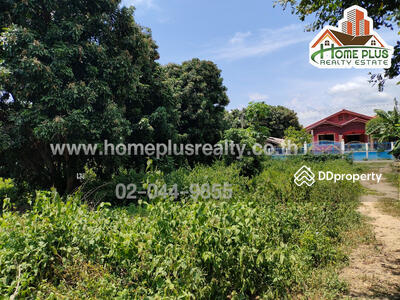 ขาย - ที่ดินตำบลสันโป่ง อำเภอแม่ริม เชียงใหม่ เนื้อที่ 2 ไร่ 3 งาน 56.4 ตารางวา (ใกล้ที่ว่าการอำเภอแม่ริม), เชียงใหม่