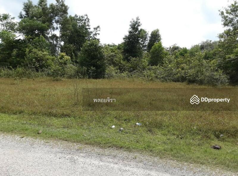 ขาย - ขายที่ดินเปล่า 222 ตรว. บ้านวังโต้-บ้านสะพานไม้แก่, สงขลา