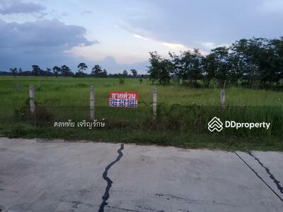 ขาย - นางรอง บุรีรัมย์, บุรีรัมย์