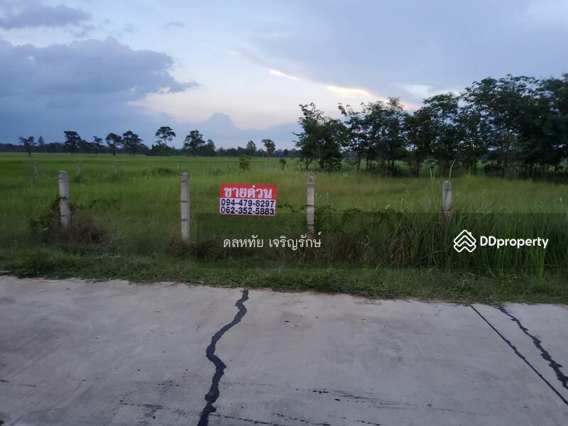 For Sale - นางรอง บุรีรัมย์, Buri Ram