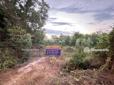 ขาย - !!!ด่วน!!! ขายที่ดินติดถนนลาดยางใกล้สวนสัตว์อุบลราชธานี 2-2-36 ไร่ ต.ขามใหญ่ อ.เมือง จ.อุบลฯ, อุบลราชธานี