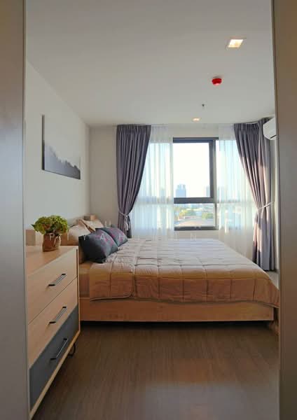 IDEO Sukhumvit 93, Bangkok, 2331 Soi Sukhumvit 93, Bang Chak, Phra Khanong, Bangkok, 1 Bedroom, 34 sqm, Condo For Rent, by pun pun piyahirunchart, 10964467 - DDproperty.com