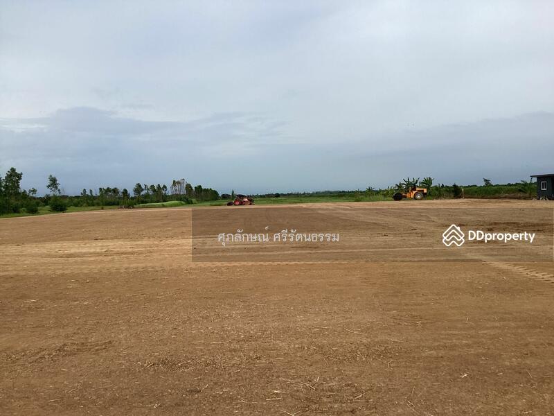 ที่ดินถมบดอัดพร้อมขึ้นโครงการ พื้นที่ 4 ไร่ ติดถนนเลียบคลอง 14 ฝั่งตะวันออก(องครักษ์), นครนายก, บางปลากด, องครักษ์, นครนายก, 1,600 ตร.ม., ที่ดิน ขาย, โดย ศุภลักษณ์ ศรีรัตนธรรม, 10964630 - DDproperty.com