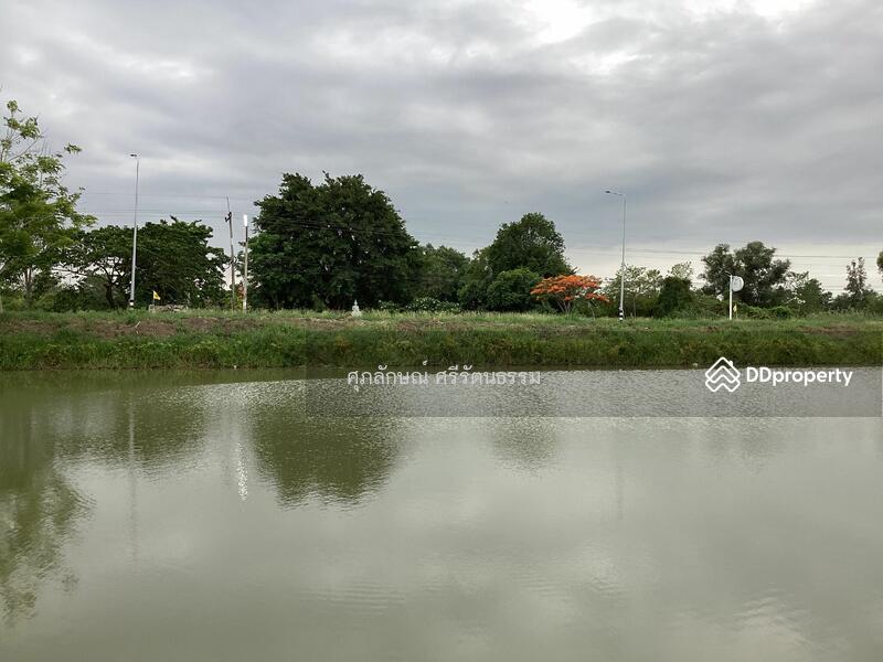 ที่ดินถมบดอัดพร้อมขึ้นโครงการ พื้นที่ 4 ไร่ ติดถนนเลียบคลอง 14 ฝั่งตะวันออก(องครักษ์), นครนายก, บางปลากด, องครักษ์, นครนายก, 1,600 ตร.ม., ที่ดิน ขาย, โดย ศุภลักษณ์ ศรีรัตนธรรม, 10964630 - DDproperty.com