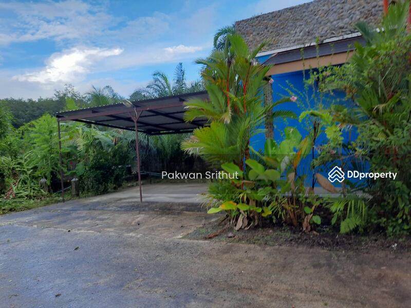 For Sale - Land for sale with buildings, Phangnga