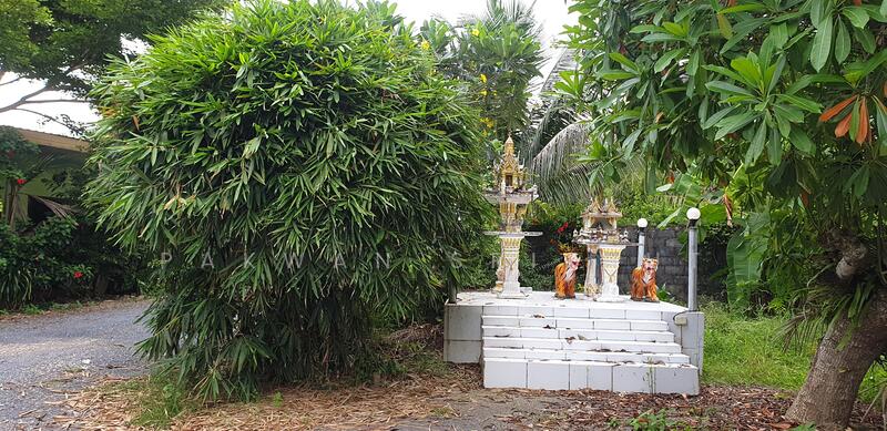 For Sale - Land for sale with buildings, Phangnga