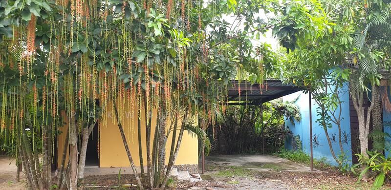 For Sale - Land for sale with buildings, Phangnga