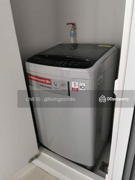 IDEO MOBI Sukhumvit 81 : ไอดีโอ โมบิ สุขุมวิท 81, กรุงเทพ, 2097 ถนนสุขุมวิท แขวงบางจาก เขตพระโขนง กรุงเทพมหานคร, บางจาก, พระโขนง, กรุงเทพ, 45 ตร.ม., คอนโด ให้เช่า, โดย LINE ID : @livingcondo, 10966592 - DDproperty.com