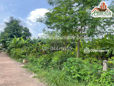 ขาย - ซอยแสนสุภา 1 ตำบลนาคู่ อำเภอนาแก นครพนม, นครพนม