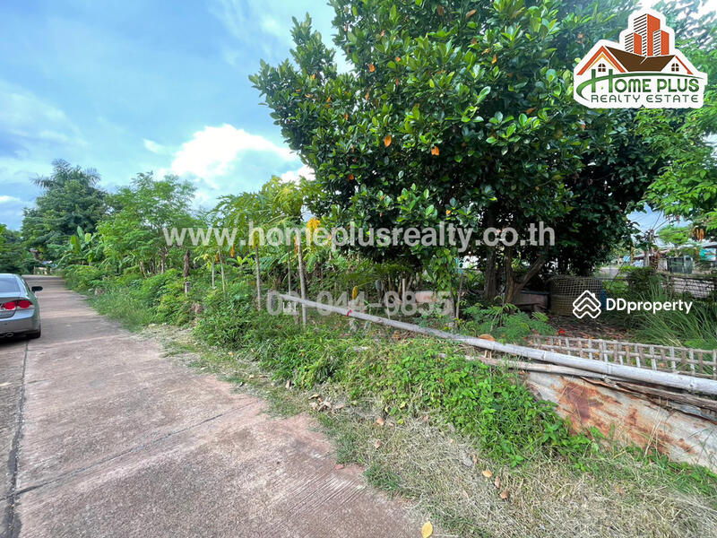 ซอยแสนสุภา 1 ตำบลนาคู่ อำเภอนาแก นครพนม, Nakhon Phanom, Na Ku, Na Kae, Nakhon Phanom, , 392 sqm, Land For Sale, by เม, 10967155 - DDproperty.com