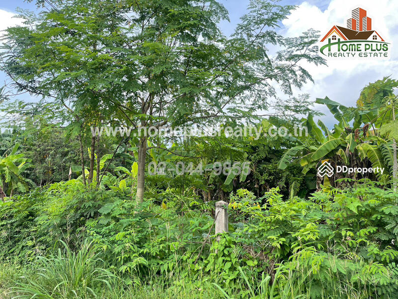 ซอยแสนสุภา 1 ตำบลนาคู่ อำเภอนาแก นครพนม, Nakhon Phanom, Na Ku, Na Kae, Nakhon Phanom, , 392 sqm, Land For Sale, by เม, 10967155 - DDproperty.com