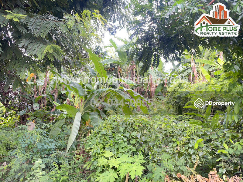 ซอยแสนสุภา 1 ตำบลนาคู่ อำเภอนาแก นครพนม, Nakhon Phanom, Na Ku, Na Kae, Nakhon Phanom, , 392 sqm, Land For Sale, by เม, 10967155 - DDproperty.com