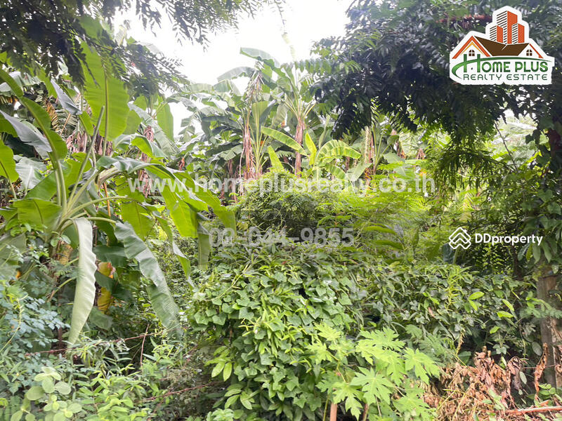 ซอยแสนสุภา 1 ตำบลนาคู่ อำเภอนาแก นครพนม, Nakhon Phanom, Na Ku, Na Kae, Nakhon Phanom, , 392 sqm, Land For Sale, by เม, 10967155 - DDproperty.com