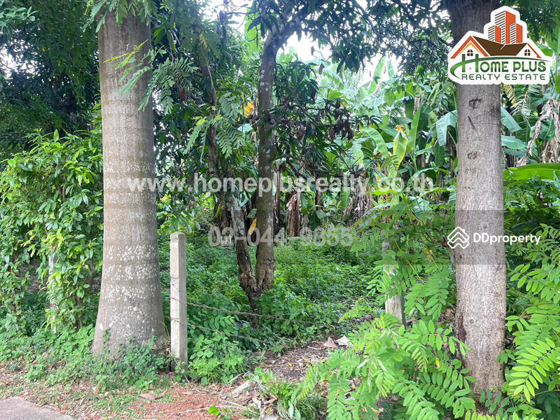 ซอยแสนสุภา 1 ตำบลนาคู่ อำเภอนาแก นครพนม, Nakhon Phanom, Na Ku, Na Kae, Nakhon Phanom, , 392 sqm, Land For Sale, by เม, 10967155 - DDproperty.com