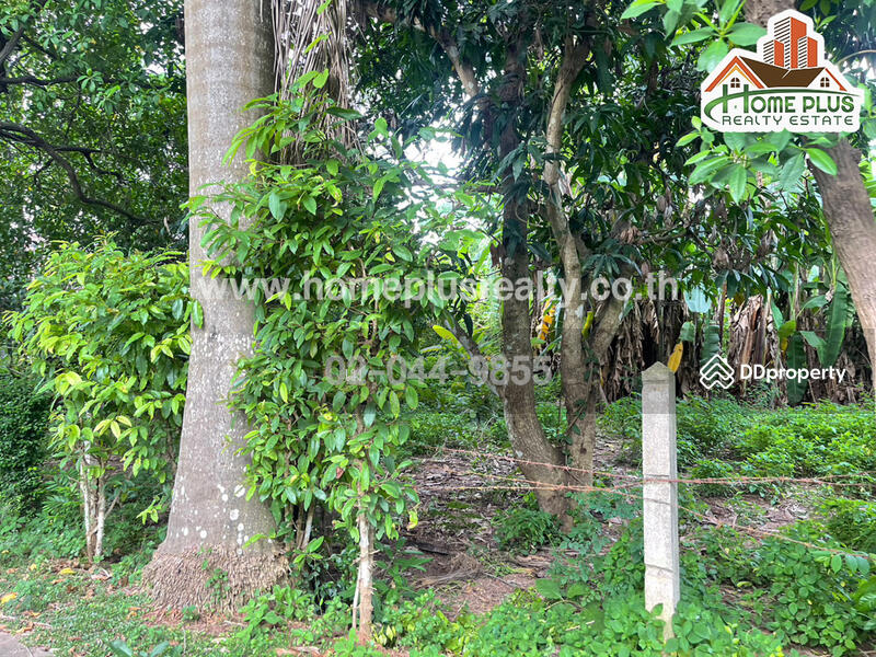 ซอยแสนสุภา 1 ตำบลนาคู่ อำเภอนาแก นครพนม, Nakhon Phanom, Na Ku, Na Kae, Nakhon Phanom, , 392 sqm, Land For Sale, by เม, 10967155 - DDproperty.com