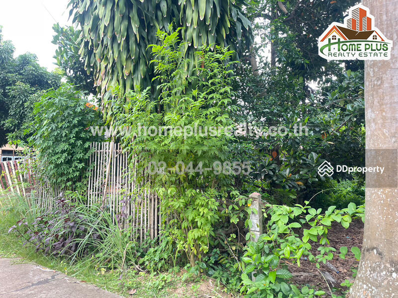 ซอยแสนสุภา 1 ตำบลนาคู่ อำเภอนาแก นครพนม, Nakhon Phanom, Na Ku, Na Kae, Nakhon Phanom, , 392 sqm, Land For Sale, by เม, 10967155 - DDproperty.com