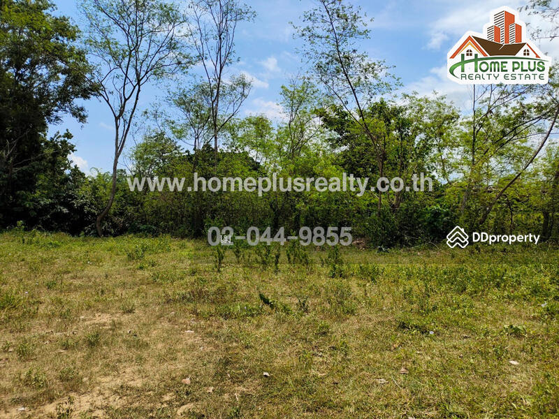 ตำบลสันโป่ง อำเภอแม่ริม เชียงใหม่, Chiang Mai, San Pong, Mae Rim, Chiang Mai, , 7,433 sqm, Land For Sale, by เม, 10968123 - DDproperty.com