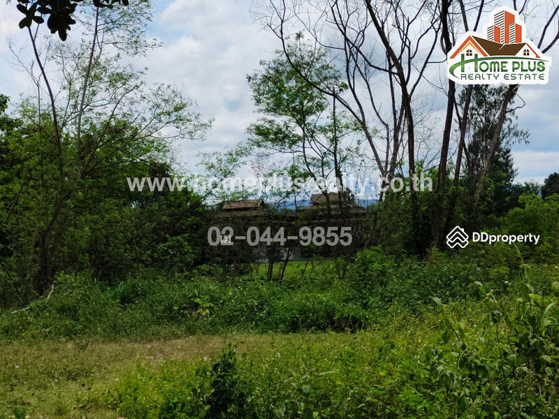 ตำบลสันโป่ง อำเภอแม่ริม เชียงใหม่, Chiang Mai, San Pong, Mae Rim, Chiang Mai, , 7,433 sqm, Land For Sale, by เม, 10968123 - DDproperty.com