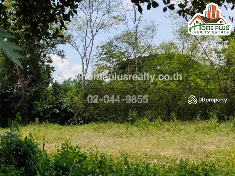 ตำบลสันโป่ง อำเภอแม่ริม เชียงใหม่, Chiang Mai, San Pong, Mae Rim, Chiang Mai, , 7,433 sqm, Land For Sale, by เม, 10968123 - DDproperty.com