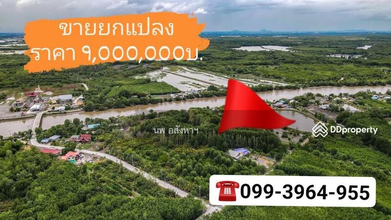 ขาย - ขายที่ดินติดแม่น้ำ 4-2-93ไร่ (1,893 ตรว.)ใกล้ปากอ่าวบางตะบูน อ.บ้านแหลม, เพชรบุรี