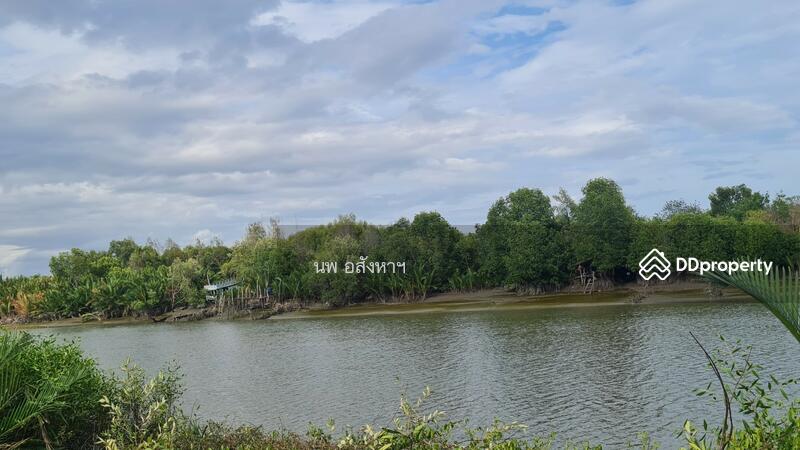 ขาย - ขายที่ดินติดแม่น้ำ 4-2-93ไร่ (1,893 ตรว.)ใกล้ปากอ่าวบางตะบูน อ.บ้านแหลม, เพชรบุรี