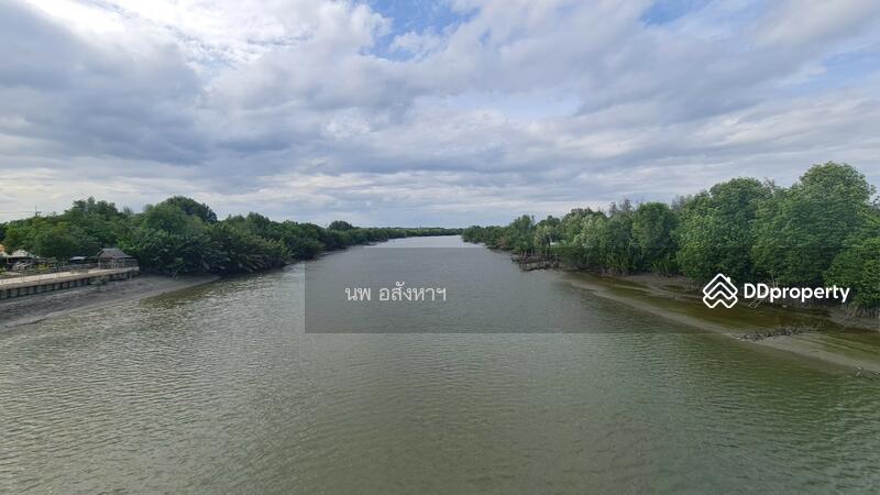 ขาย - ขายที่ดินติดแม่น้ำ 4-2-93ไร่ (1,893 ตรว.)ใกล้ปากอ่าวบางตะบูน อ.บ้านแหลม, เพชรบุรี