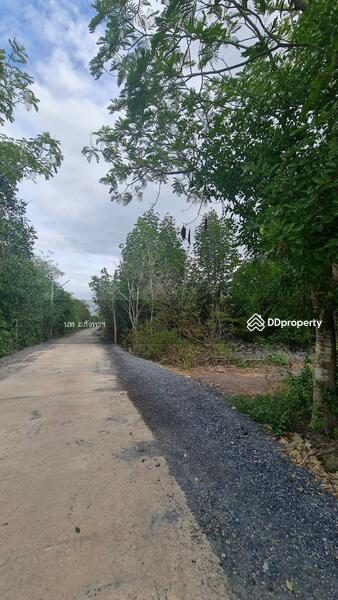 ขาย - ขายที่ดินติดแม่น้ำ 4-2-93ไร่ (1,893 ตรว.)ใกล้ปากอ่าวบางตะบูน อ.บ้านแหลม, เพชรบุรี