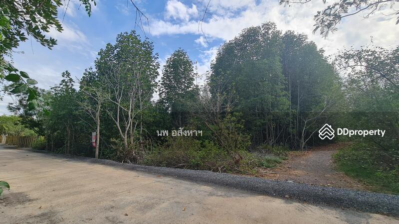 ขาย - ขายที่ดินติดแม่น้ำ 4-2-93ไร่ (1,893 ตรว.)ใกล้ปากอ่าวบางตะบูน อ.บ้านแหลม, เพชรบุรี