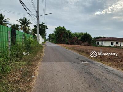 ขาย - ขาย ที่ดิน หน้า สนาม 80 ปี, นครราชสีมา