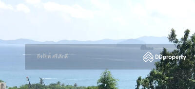 ขาย - ที่ดินซีวิวสวย 25 ไร่ เกาะกวาง คลองม่วง กระบี่ - ทำเลทองสำหรับพูลวิลล่าหรู, กระบี่