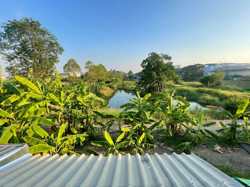 Porn Thaweewat 1 Village, Khlong Nueng Subdistrict, Khlong Luang District, Pathum Thani, Pathum Thani, Khlong Nung, Khlong Luang, Pathum Thani, 2 Bedrooms, 68 sqm, Townhouse For Sale, by Pichitchai Kaensaksiri, 10971464 - DDproperty.com