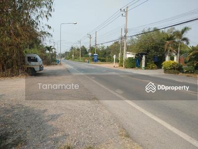 ขาย - ที่ดิน ลำลูกกา ลำลูกกา ปทุมธานี, ปทุมธานี