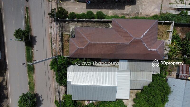 ขาย - H1SS-423 ต.เมืองใหม่ อ.ศรีบุญเรือง จ.หนองบัวลำภู : Mueang Mai Subdistrict, Sri Bun Ruang Distirct, หนองบัวลำภู