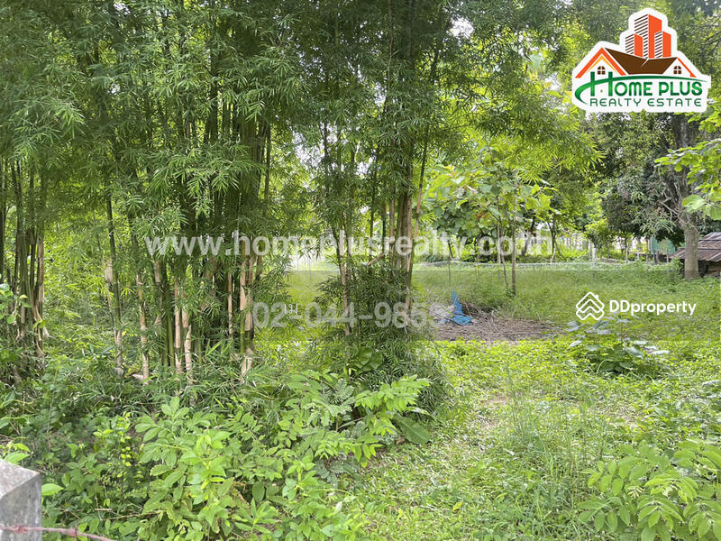 ที่ดินซอยนาคู่เหนือ 3 นครพนม เนื้อที่ 1 ไร่ 2 งาน 49 ตารางวา (ใกล้การประปาส่วนภูมิภาคสาขาธาตุพนม) L, นครพนม, นาคู่, นาแก, นครพนม, 2,596 ตร.ม., ที่ดิน ขาย, โดย เม, 10974278 - DDproperty.com