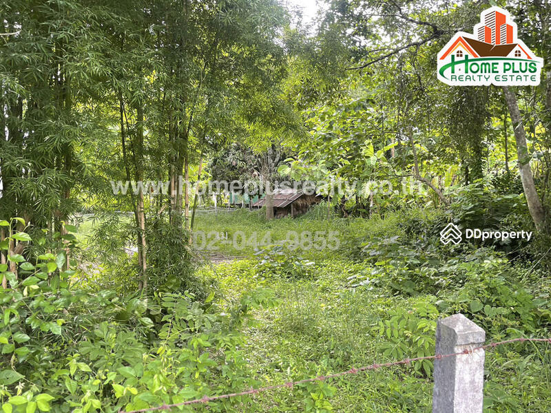 ที่ดินซอยนาคู่เหนือ 3 นครพนม เนื้อที่ 1 ไร่ 2 งาน 49 ตารางวา (ใกล้การประปาส่วนภูมิภาคสาขาธาตุพนม) L, Nakhon Phanom, Na Ku, Na Kae, Nakhon Phanom, , 2,596 sqm, Land For Sale, by เม, 10974278 - DDproperty.com