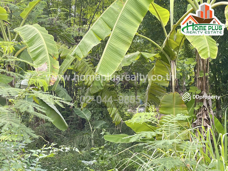 ที่ดินซอยนาคู่เหนือ 3 นครพนม เนื้อที่ 1 ไร่ 2 งาน 49 ตารางวา (ใกล้การประปาส่วนภูมิภาคสาขาธาตุพนม) L, นครพนม, นาคู่, นาแก, นครพนม, 2,596 ตร.ม., ที่ดิน ขาย, โดย เม, 10974278 - DDproperty.com