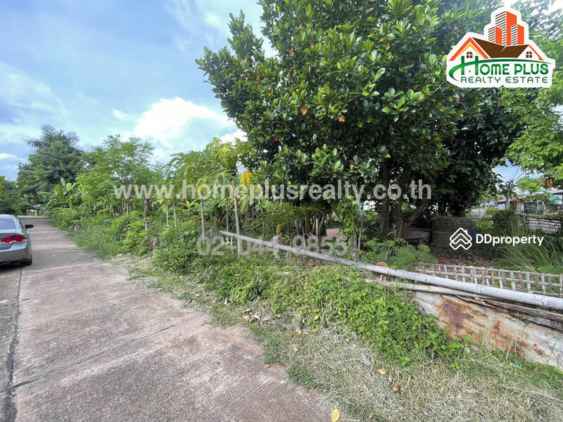 ที่ดินซอยแสนสุภา 1 นครพนม เนื้อที่ 100 ตารางวา (ใกล้การปะปาส่วนภูมิภาคสาขาธาตุพนม) Land For Sale, นครพนม, นาคู่, นาแก, นครพนม, 400 ตร.ม., ที่ดิน ขาย, โดย เม, 10974374 - DDproperty.com