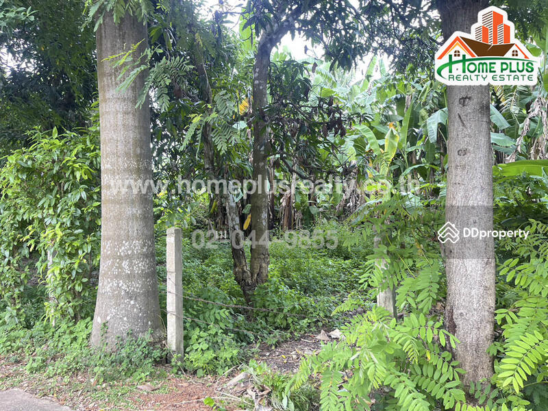 ที่ดินซอยแสนสุภา 1 นครพนม เนื้อที่ 100 ตารางวา (ใกล้การปะปาส่วนภูมิภาคสาขาธาตุพนม) Land For Sale, นครพนม, นาคู่, นาแก, นครพนม, 400 ตร.ม., ที่ดิน ขาย, โดย เม, 10974374 - DDproperty.com