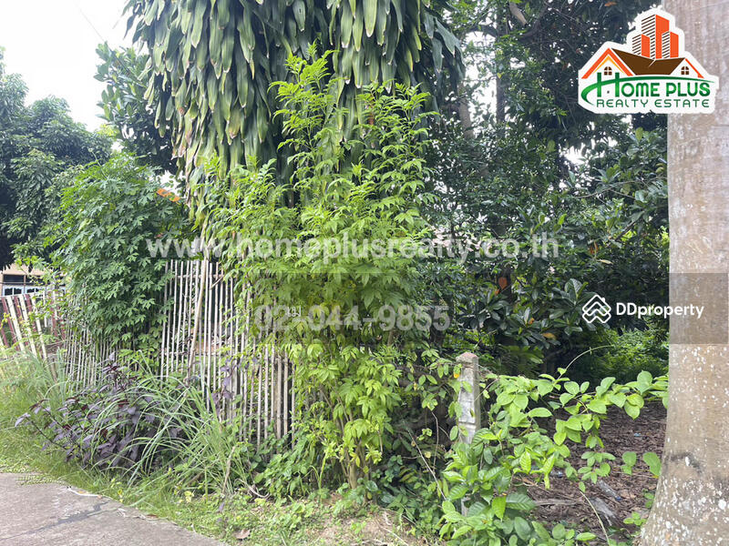 ที่ดินซอยแสนสุภา 1 นครพนม เนื้อที่ 100 ตารางวา (ใกล้การปะปาส่วนภูมิภาคสาขาธาตุพนม) Land For Sale, นครพนม, นาคู่, นาแก, นครพนม, 400 ตร.ม., ที่ดิน ขาย, โดย เม, 10974374 - DDproperty.com