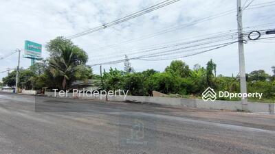 ขาย - ที่ดิน 56 ไร่ ลำลูกกา คลอง 7 ปทุมธานี, ปทุมธานี