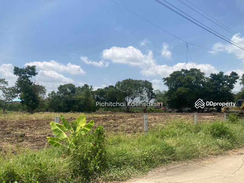 ที่ดินปทุมธานี คลองสอง คลองหลวง ปทุมธานี 12120, ปทุมธานี, คลองสอง, คลองหลวง, ปทุมธานี, 3,200 ตร.ม., ที่ดิน ขายดาวน์, โดย Pichitchai Kaensaksiri, 10975597 - DDproperty.com