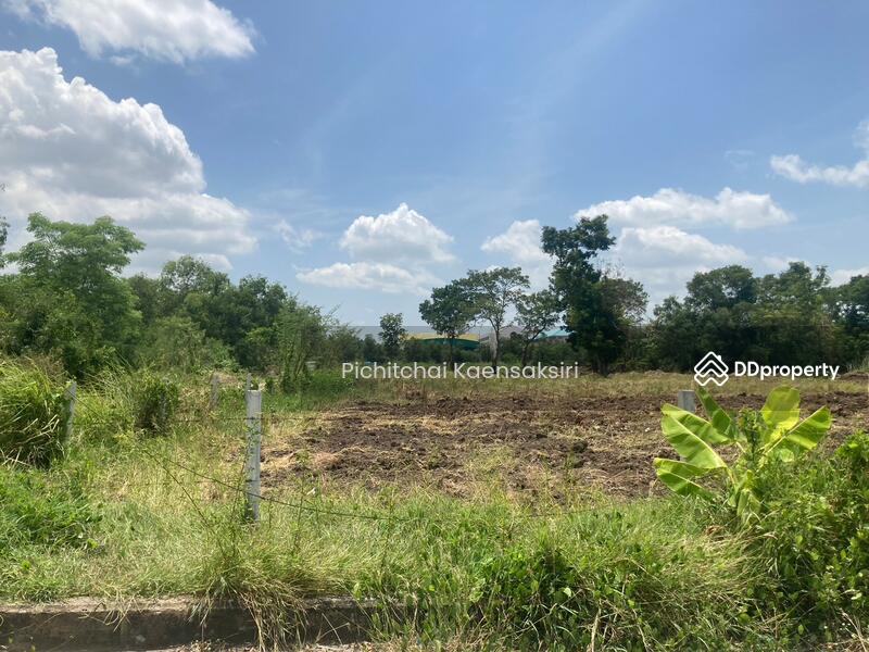 ที่ดินปทุมธานี คลองสอง คลองหลวง ปทุมธานี 12120, ปทุมธานี, คลองสอง, คลองหลวง, ปทุมธานี, 3,200 ตร.ม., ที่ดิน ขายดาวน์, โดย Pichitchai Kaensaksiri, 10975597 - DDproperty.com